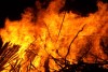 تالاب انزلی در آتش سوخت | جزئیات آتش سوزی